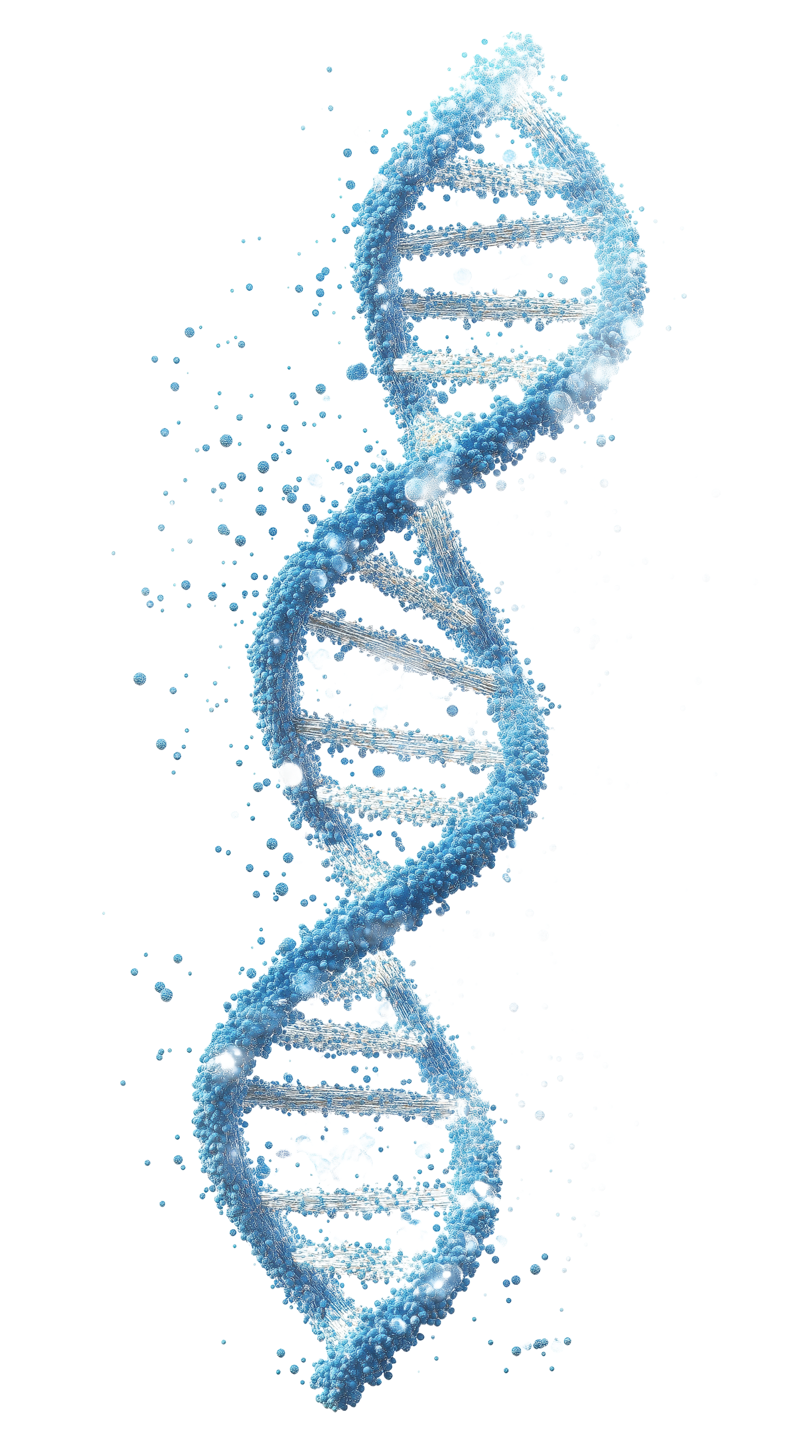 DNA strand
